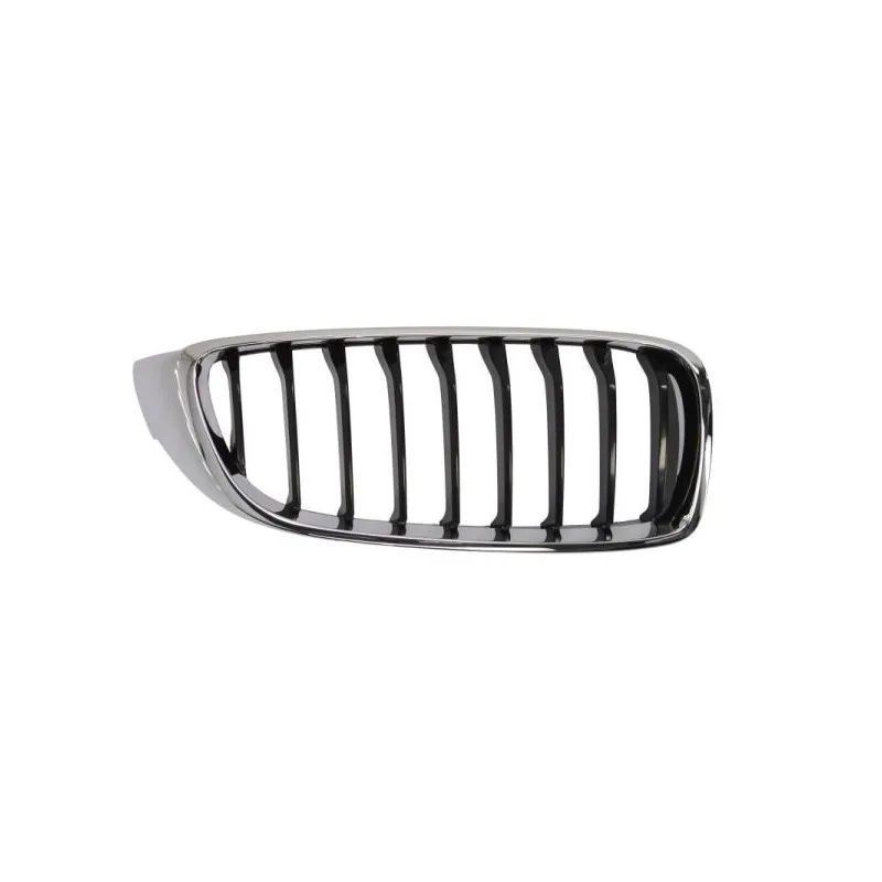 Grille de radiateur BLIC 6502-07-0070996P