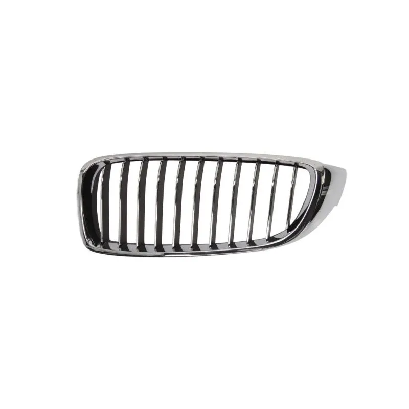 Grille de radiateur BLIC 6502-07-0070997P