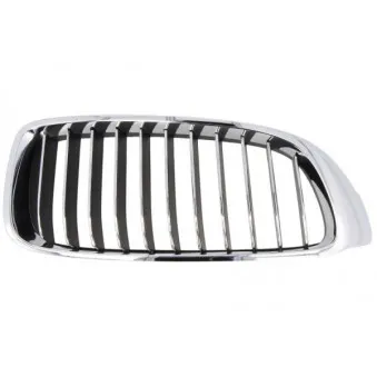 Grille de radiateur BLIC 6502-07-0070998P