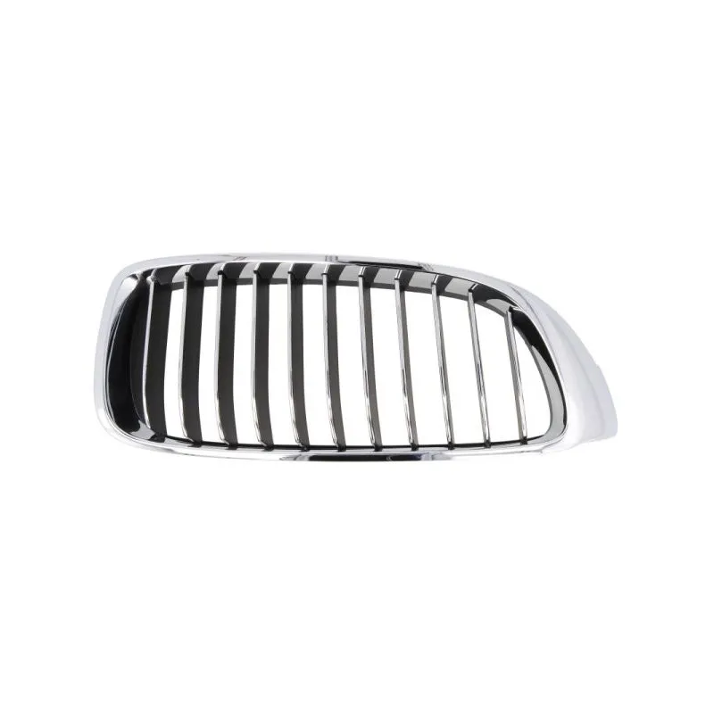 Grille de radiateur BLIC 6502-07-0070998P