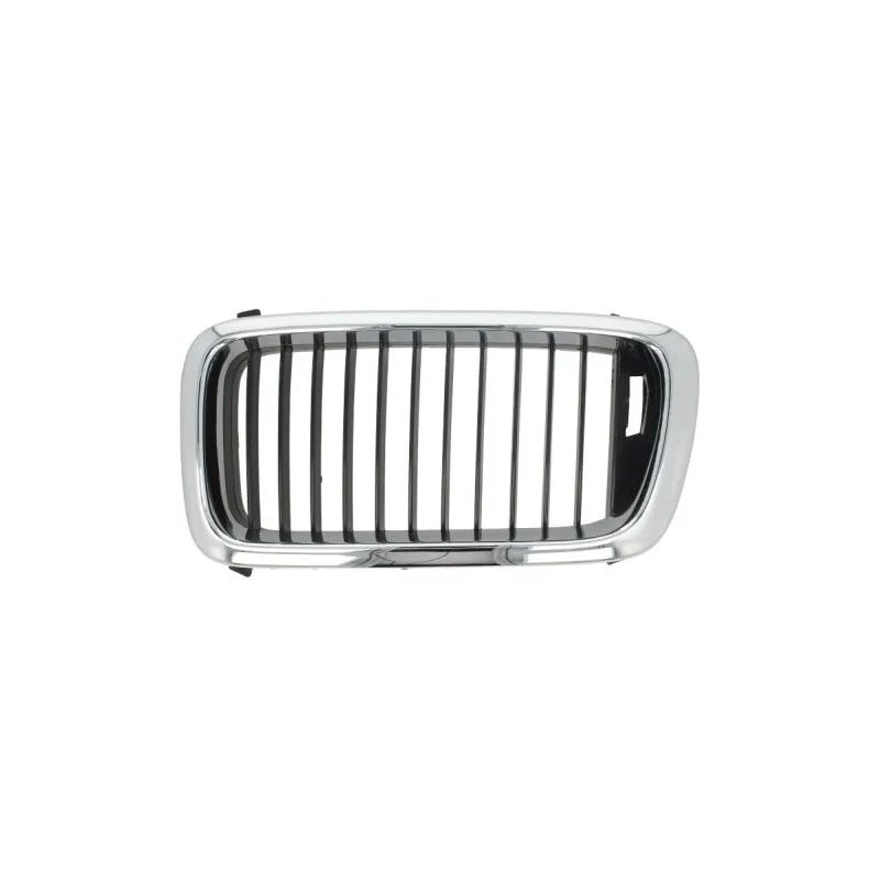 Grille de radiateur BLIC 6502-07-0075991P