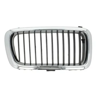 Grille de radiateur BLIC