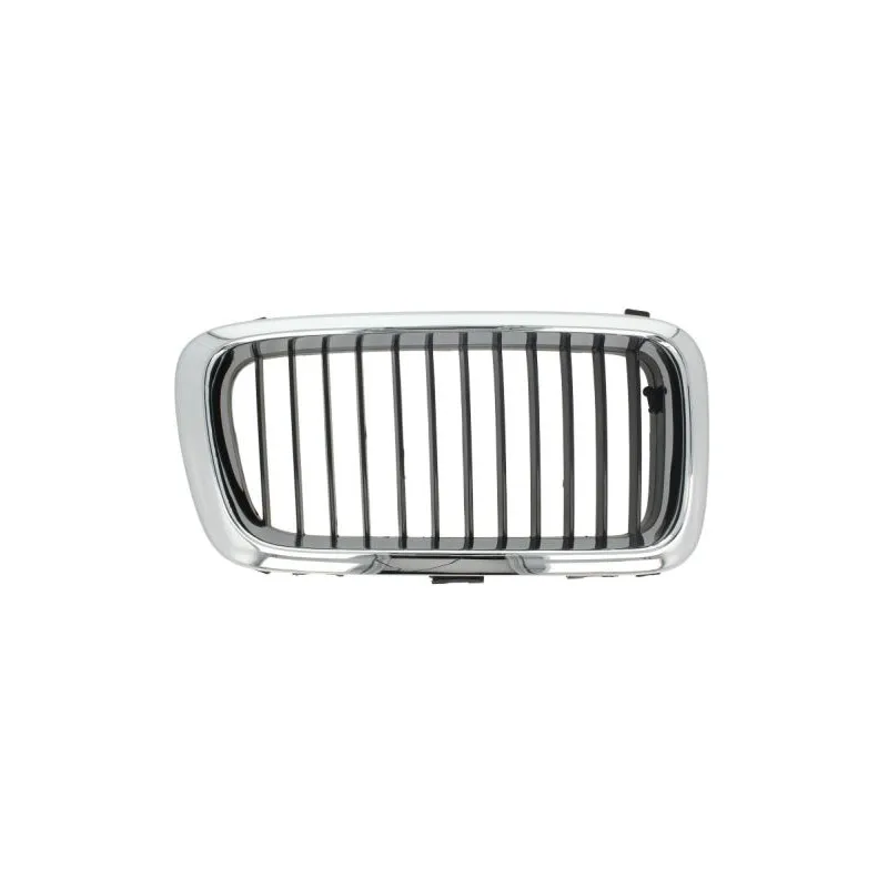 Grille de radiateur BLIC 6502-07-0075992P