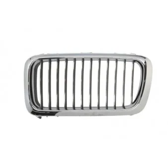 Grille de radiateur avant gauche BLIC 6502-07-0075993P