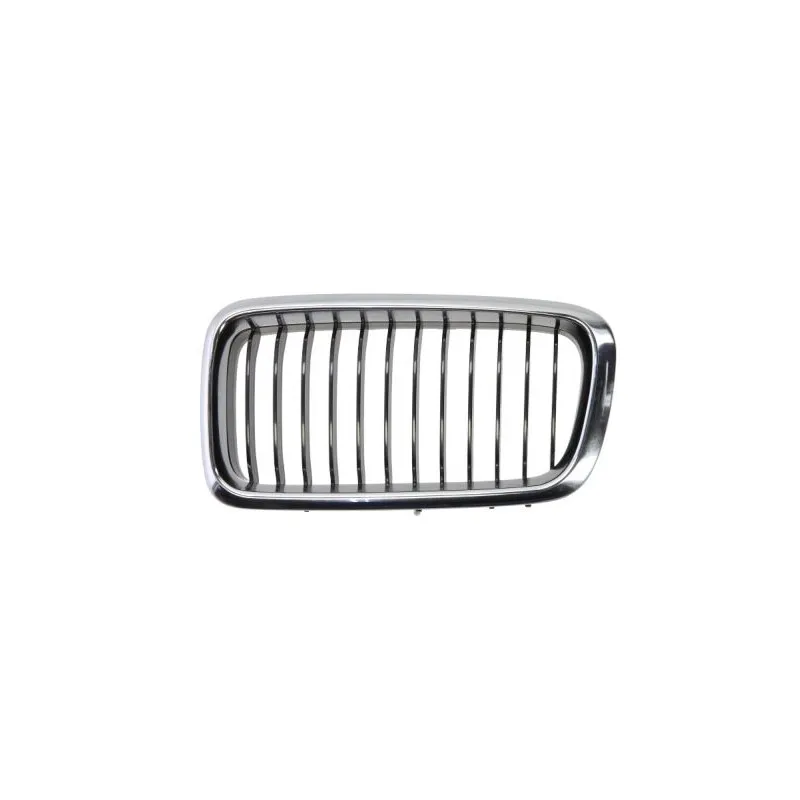 Grille de radiateur BLIC 6502-07-0075995P