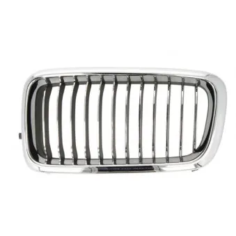 Grille de radiateur avant gauche BLIC 6502-07-0075995PP