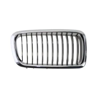 Grille de radiateur BLIC 6502-07-0075996P