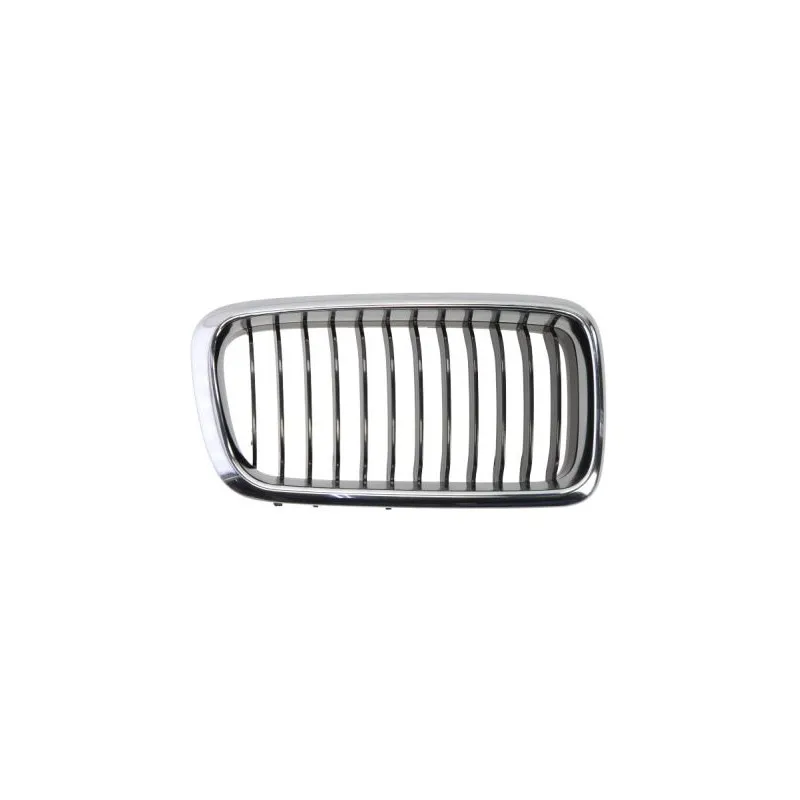 Grille de radiateur BLIC 6502-07-0075996P