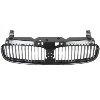 Grille de radiateur BLIC 6502-07-0076991P