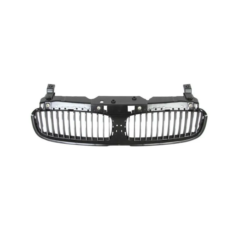 Grille de radiateur BLIC 6502-07-0076991P