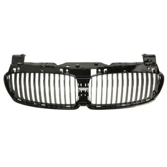 Grille de radiateur BLIC 6502-07-0076992P