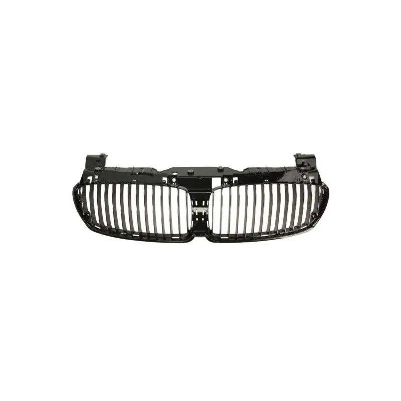 Grille de radiateur BLIC 6502-07-0076992P