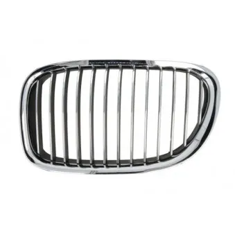 Grille de radiateur avant gauche BLIC 6502-07-0077991P