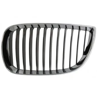 Grille de radiateur BLIC 6502-07-0085991P