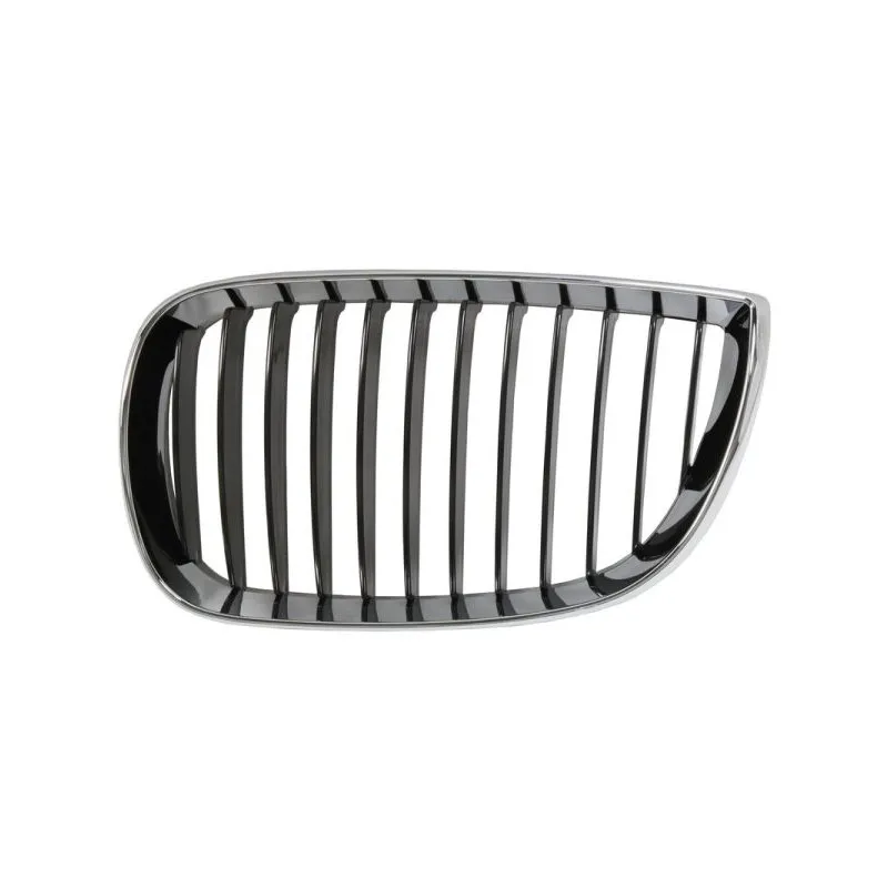 Grille de radiateur BLIC 6502-07-0085991P