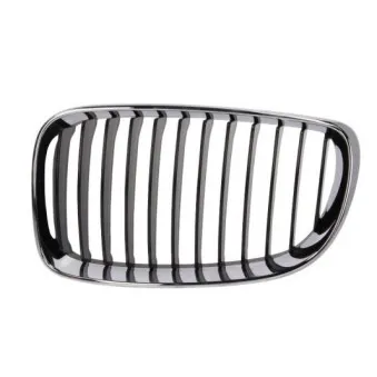 Grille de radiateur BLIC 6502-07-0085991PP