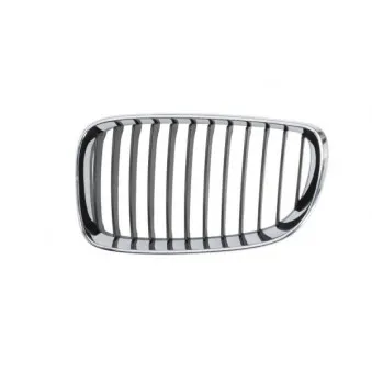 Grille de radiateur avant gauche BLIC 6502-07-0085991PQ