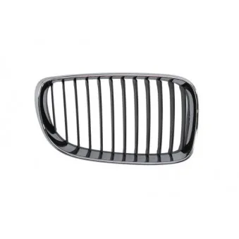 Grille de radiateur avant droit BLIC 6502-07-0085992PQ