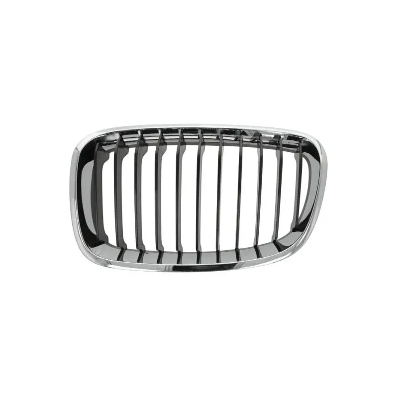 Grille de radiateur BLIC 6502-07-0086991Q