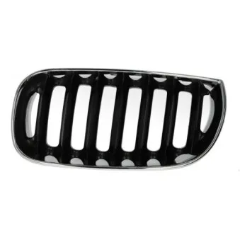 Grille de radiateur BLIC 6502-07-0093991P