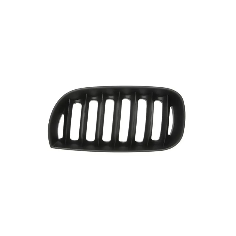 Grille de radiateur BLIC 6502-07-0093995P