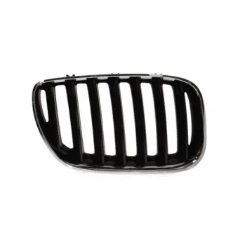 Grille de radiateur BLIC 6502-07-0095996P