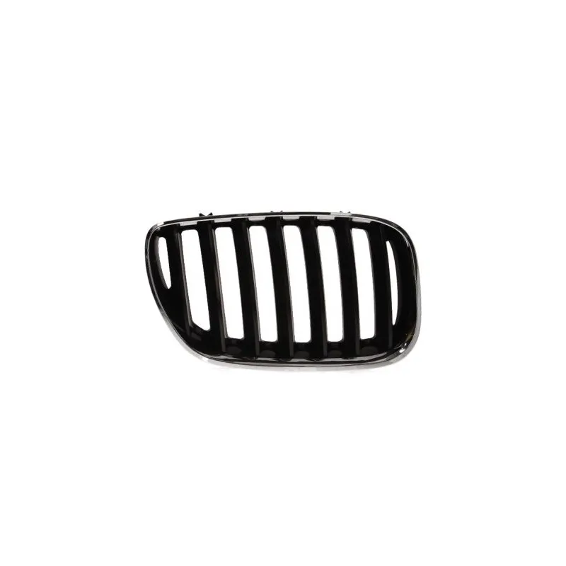 Grille de radiateur BLIC 6502-07-0095996P