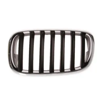 Grille de radiateur BLIC 6502-07-0096991P