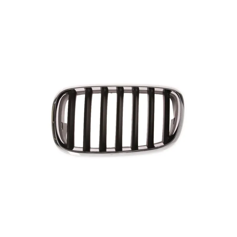 Grille de radiateur BLIC 6502-07-0096991P