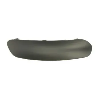 Baguette et bande protectrice, pare-chocs avant droit BLIC 6502-07-0519926P