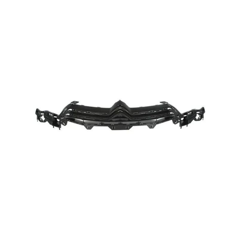 Grille de radiateur BLIC 6502-07-0537991Q