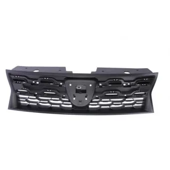 Grille de radiateur BLIC 6502-07-1305992P