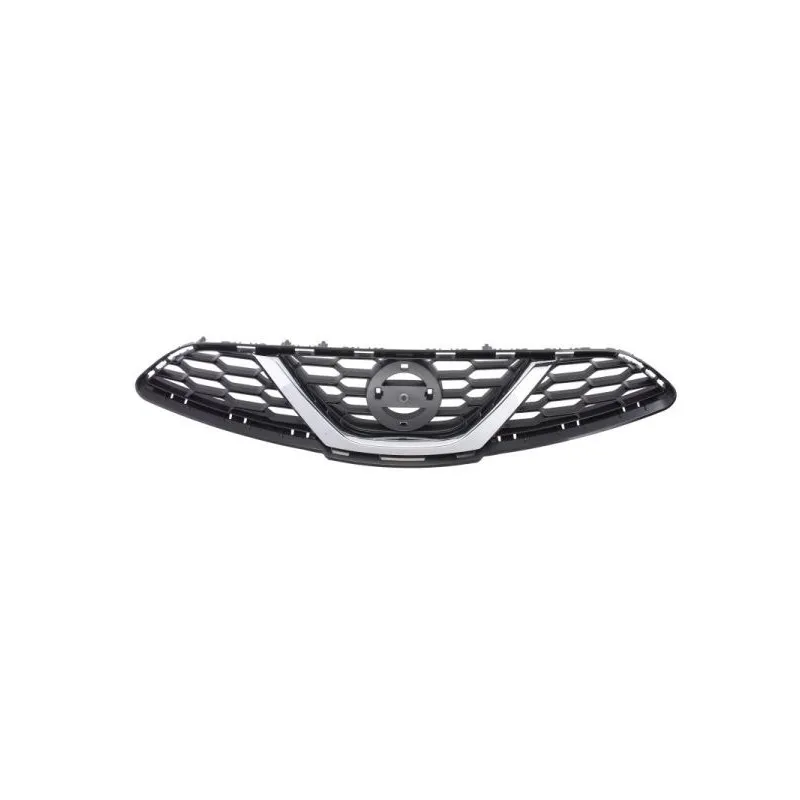 Grille de radiateur BLIC 6502-07-1610991Q