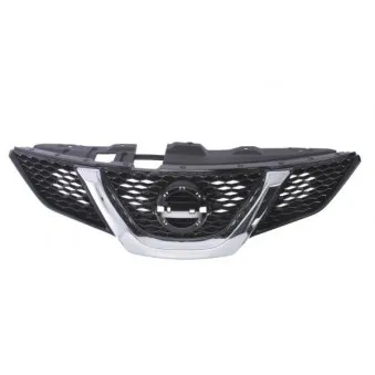 Grille de radiateur BLIC 6502-07-1617992P