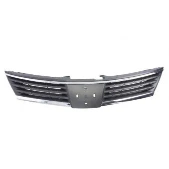 Grille de radiateur BLIC 6502-07-1636990P