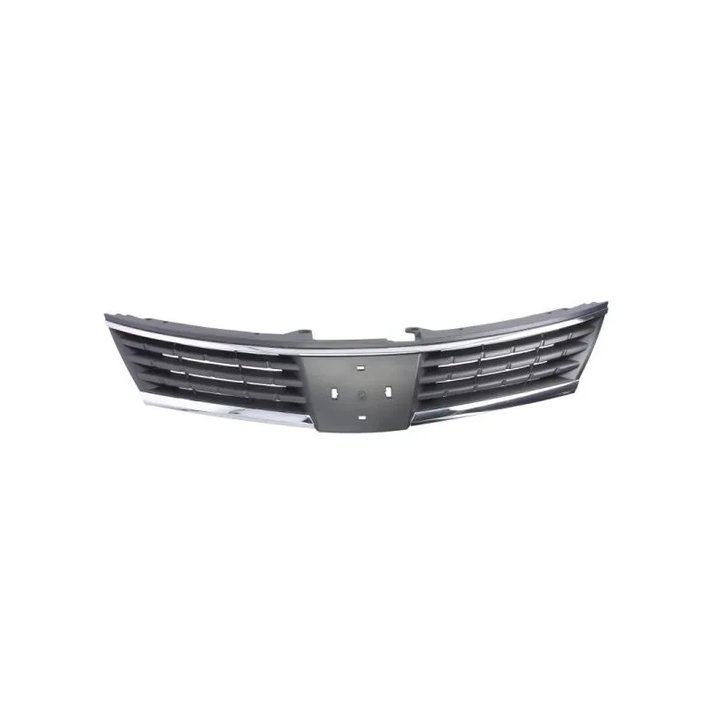 Grille de radiateur BLIC 6502-07-1636990P