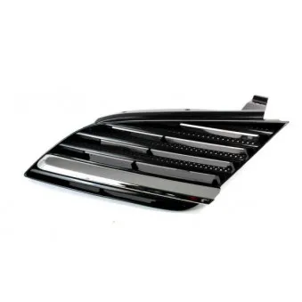 Grille de radiateur BLIC 6502-07-1670991P