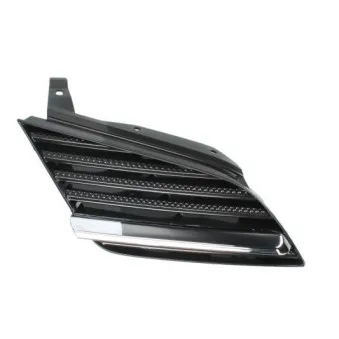 Grille de radiateur BLIC 6502-07-1670992P