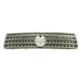 Grille de radiateur BLIC 6502-07-2023991P