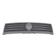 Grille de radiateur BLIC 6502-07-2027991Q - Visuel 1