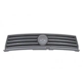 Grille de radiateur BLIC 6502-07-2027991Q