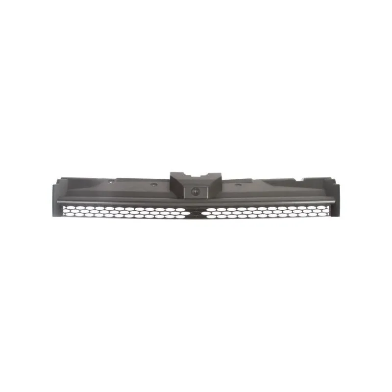 Grille de radiateur BLIC 6502-07-2507990P