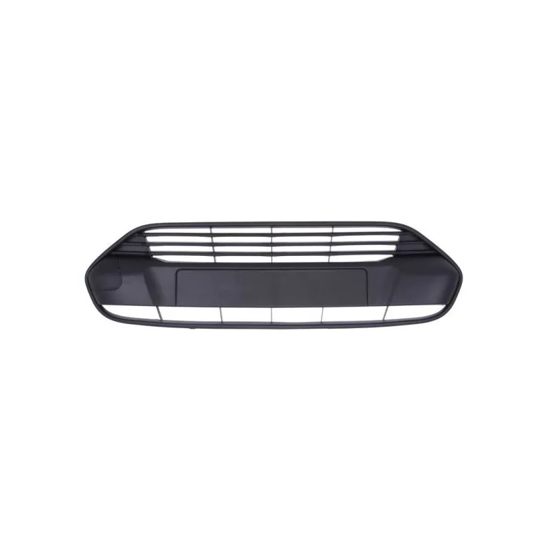 Grille de ventilation, pare-chocs BLIC 6502-07-2508996Q