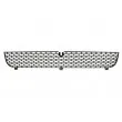 Grille de radiateur BLIC 6502-07-2509990P - Visuel 2