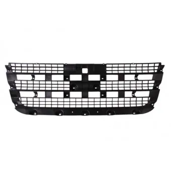 Grille de radiateur BLIC 6502-07-2510990P