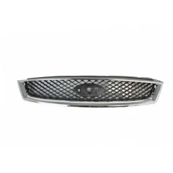 Grille de radiateur BLIC 6502-07-2533991P