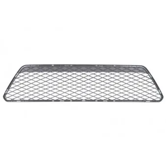 Grille de ventilation, pare-chocs BLIC 6502-07-2533992CC