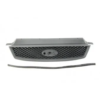 Grille de radiateur BLIC 6502-07-2534990P