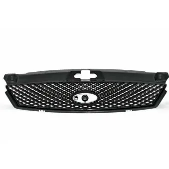 Grille de radiateur BLIC 6502-07-2555990P