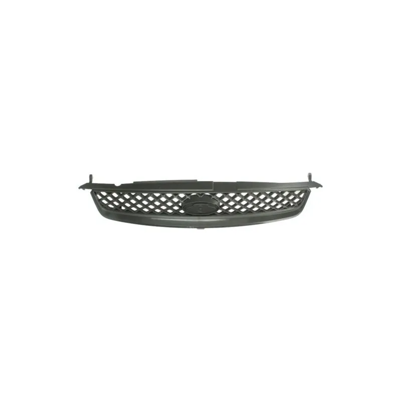 Grille de radiateur BLIC 6502-07-2564990PP